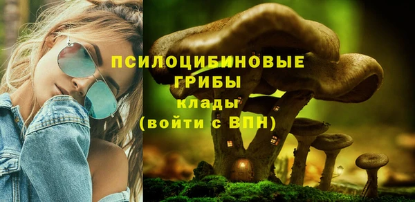 молекула духа Алексеевка