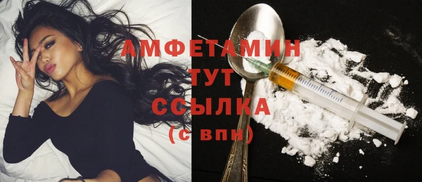 молекула духа Алексеевка