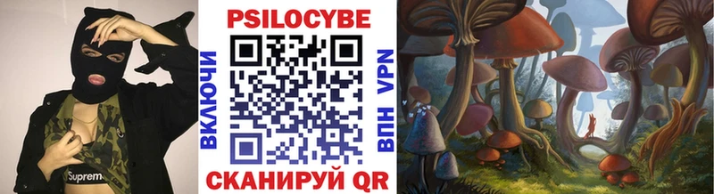 Псилоцибиновые грибы Psilocybe Александровское